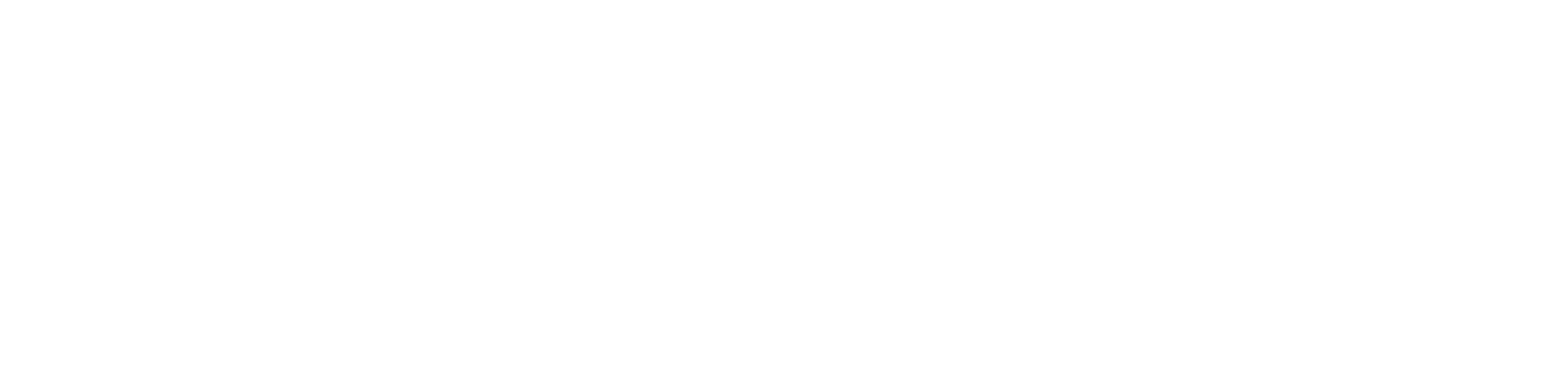 Section 8 Logo Animation